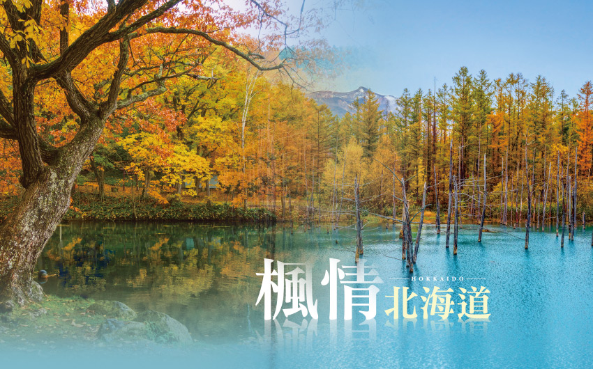 楓情北海道５日